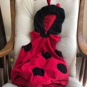 18mos lady bug costume